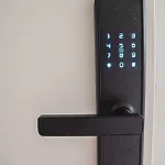 Koemarkt * Purmerend